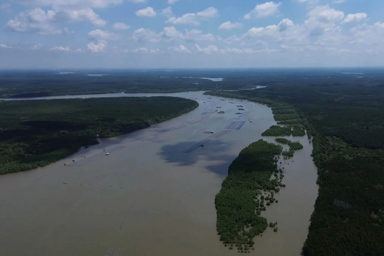 tp ho chi minh khoi dong ke hoach trien khai sieu cang trung chuyen can gio